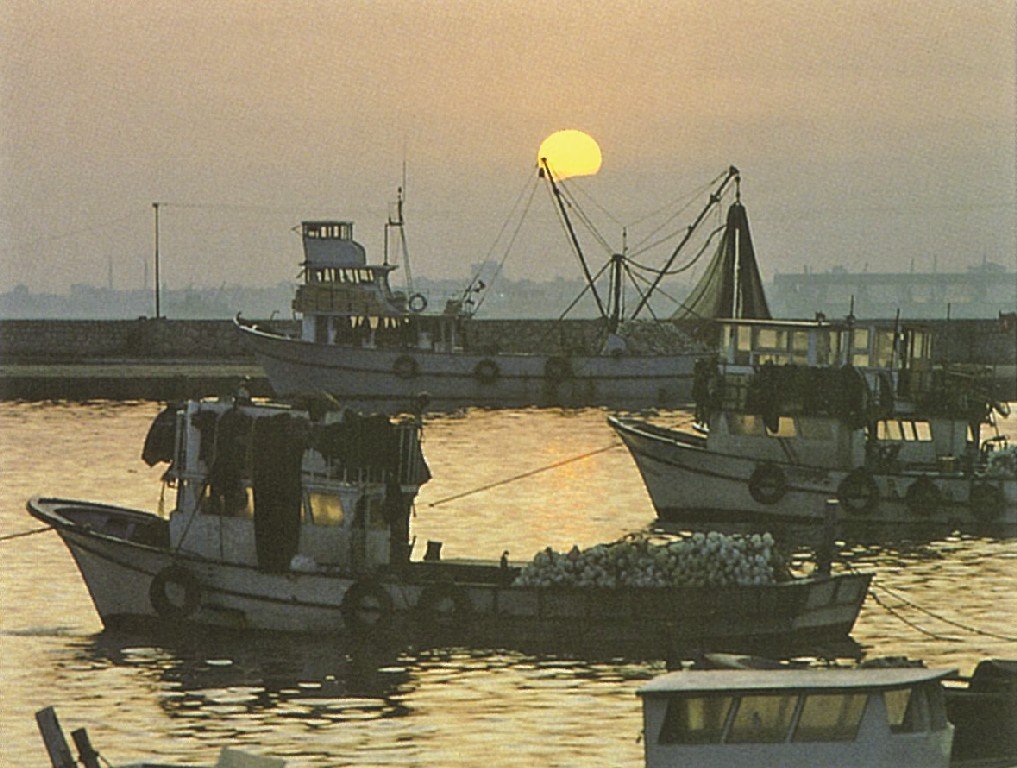 karaduvar-fishing-port-02